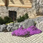 Pod Skalco Appartement
