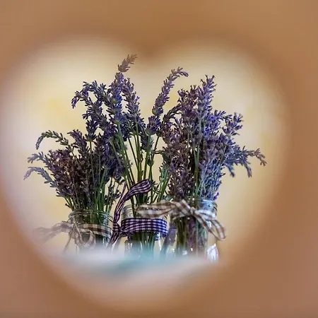 Pod Skalco * 耶塞尼采