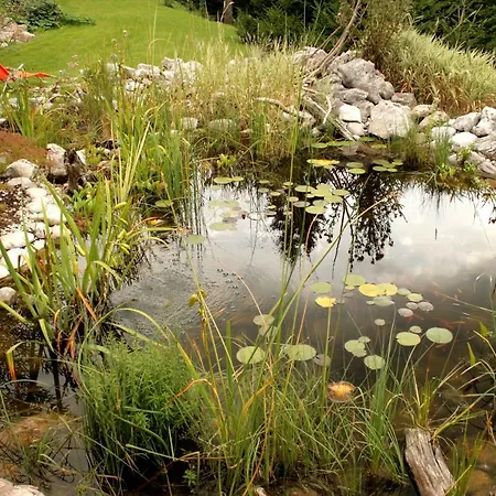 Apartman Pod Skalco *