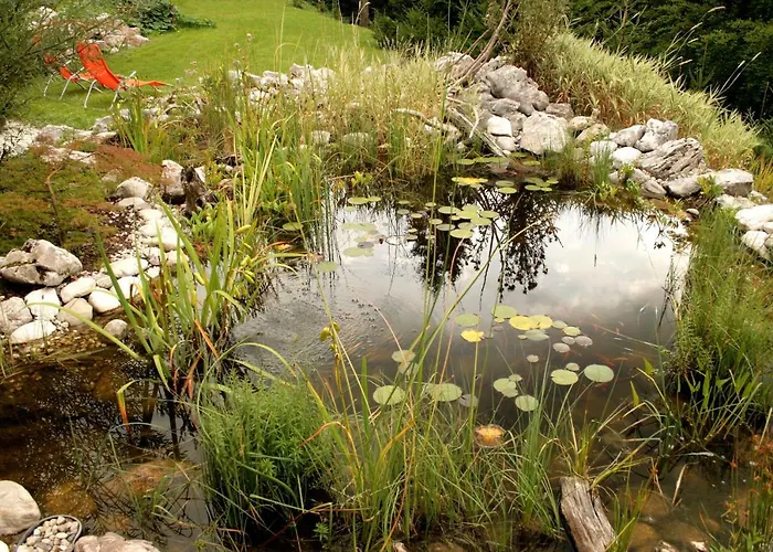 Lägenhet Pod Skalco *