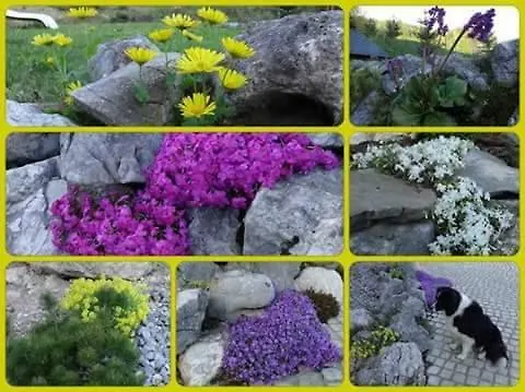 Lejlighed Pod Skalco *